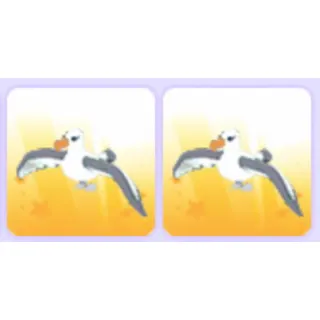 Pet | Albatross Bundle x2