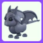 Pet | Gargoyle