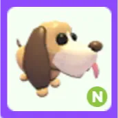 Pet | Bloodhound N Neon