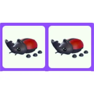 Rhino Beetle x2