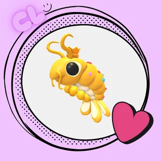 Priceless Shrimp