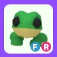 Pet | Frog FR