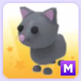Mega Cat M