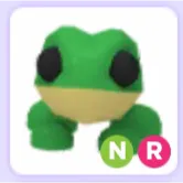 Pet | Frog NR Neon Ride