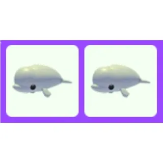 Beluga Whale x2