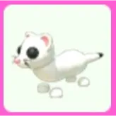 Ermine
