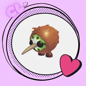 Kiwi Kiwi