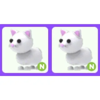 Pet | Snow Cat N Bundle x2