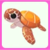 Sea turtle