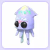 Pet | Squid