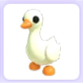 Pet | Goose Adopt Me - Game Items - Gameflip