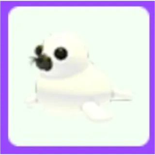 Harp Seal