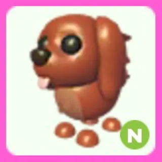Irish Setter N