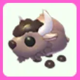 Bison