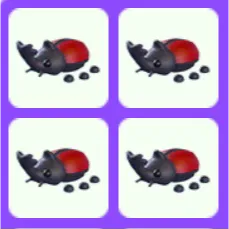 Pet | Rhino Beetle Bundle x4