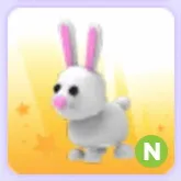 Bunny N Neon