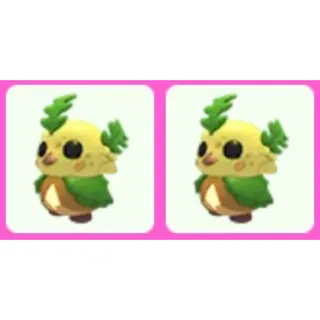 Forest Sprite x2