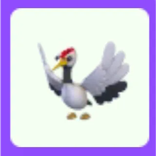 Red Crowned Crane