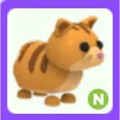 Ginger Cat N