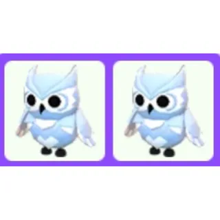 Pet | Snow Owl x2