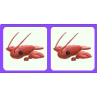 Pet | Lobster Bundle x2