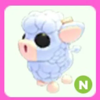 Angus Calf N