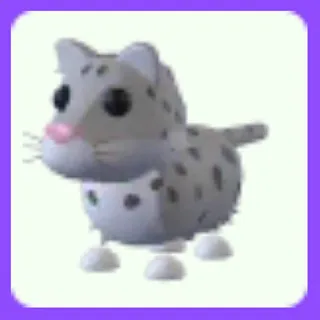 Snow Leopard