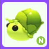 Pet | Sprout Snail N Neon