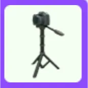 Tripod Camera