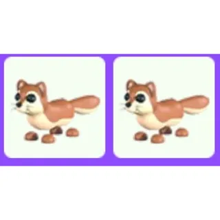 Mongoose x2