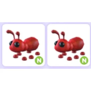 Ant N Neon Bundle x2