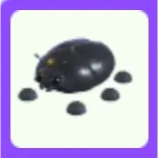 Giant Black Scarab