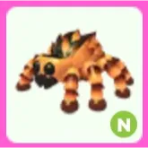 Tarantula N