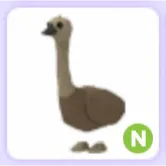 Emu N