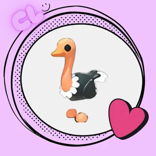 Ostrich