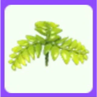 Fern Propeller