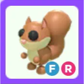 Pet | Red Squirrel FR