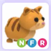 Pet | Ginger Cat NFR