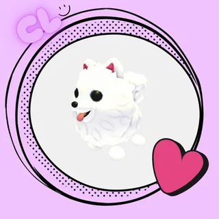 Samoyed