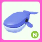Blue Whale N