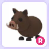 Pet | Wild Boar R