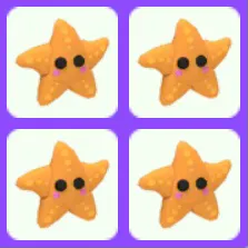 Pet | Starfish Bundle x4