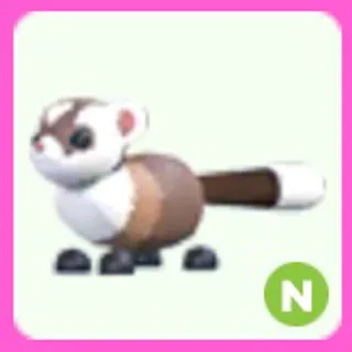 Black Footed Ferret N