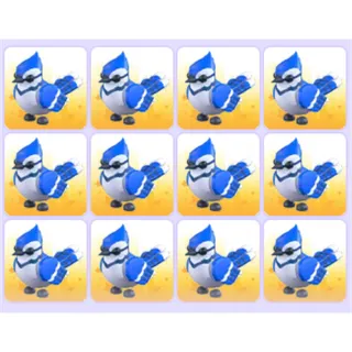 Blue Jay x12 Adopt Me