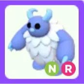 Pet | Yeti NR Neon