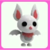 Albino Bat