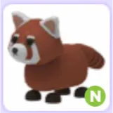 Pet | Red Panda N Neon