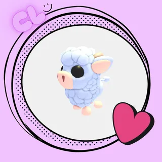 Angus Calf