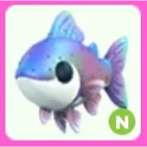 Rainbow Trout N