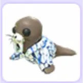 Summer Walrus